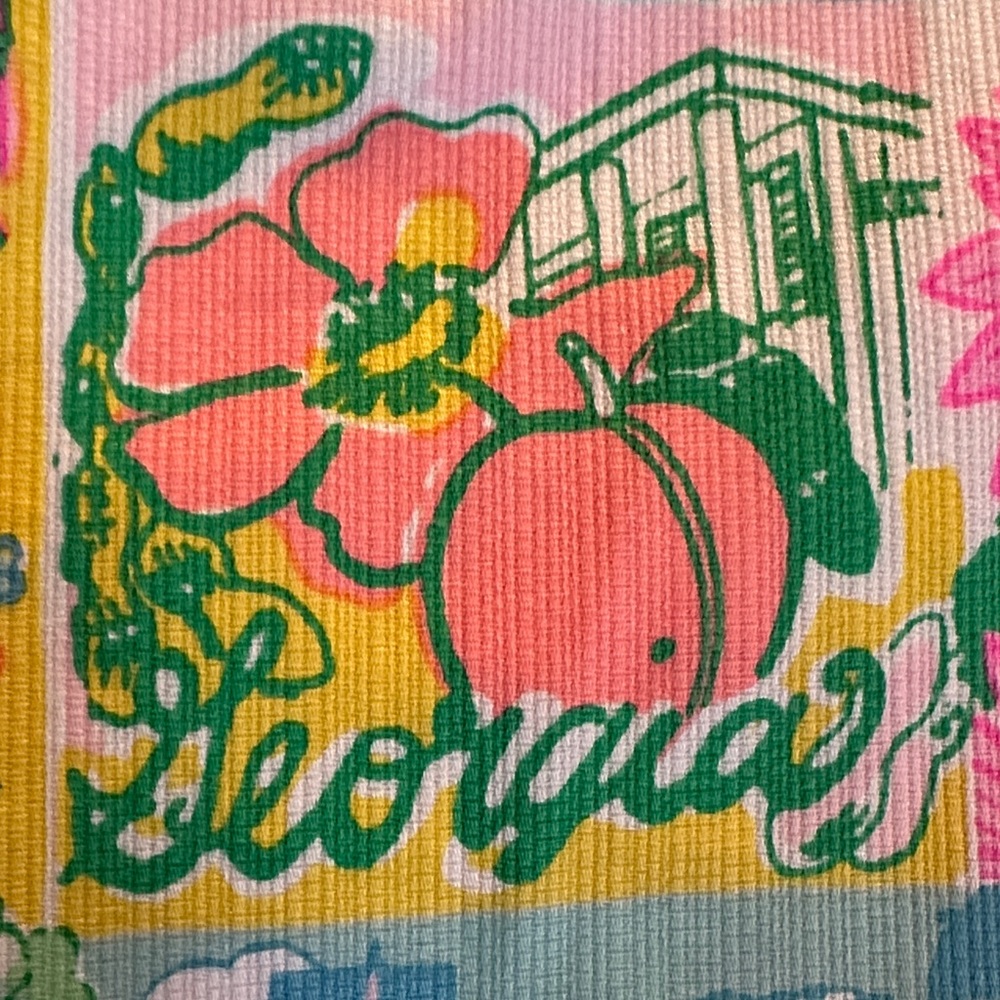 Lilly Pulitzer state of mind Skirt - Picture 9 of 12